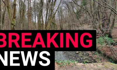 Girl, 11, found dead in a river at Gore Glen Woodland Park after search | News UK