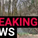 Girl, 11, found dead in a river at Gore Glen Woodland Park after search | News UK