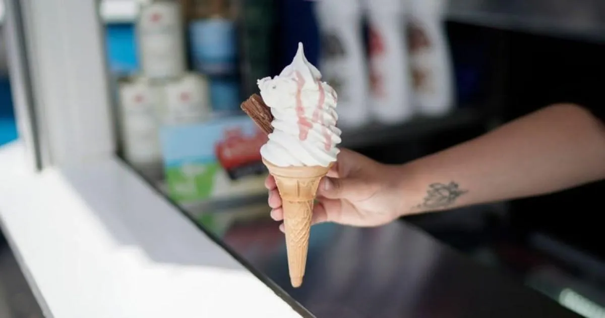 Ice cream van man hit by 'unbelievable' noise complaint over his music | News UK