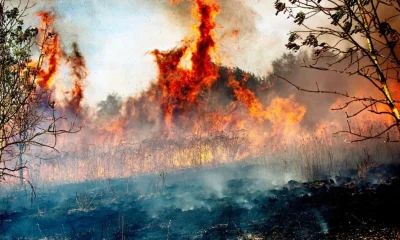 British people to be warned to stock up on tins and water amid Russia and wildfire threats | News US