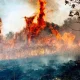 British people to be warned to stock up on tins and water amid Russia and wildfire threats | News US