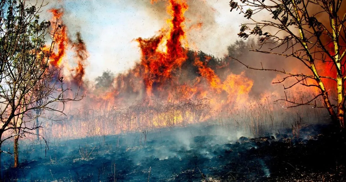 British people to be warned to stock up on tins and water amid Russia and wildfire threats | News US