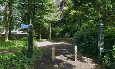 Woman in her 40s 'raped on woodland path' with man arrested | News UK