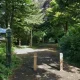Woman in her 40s 'raped on woodland path' with man arrested | News UK