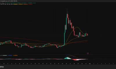 SHIB 4-hour chart shows consolidation near $0.00000467 after rejection from $0.0000058, with support around $0.00000444.