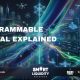 Programmable Capital Explained: How Money Is Becoming Smart in the Digital Economy