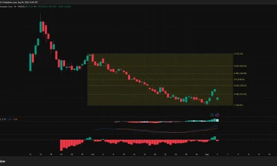SPCX 4-hour chart shows the stock falling to $114.93, with support at $104.91 and resistance at $119.34.