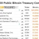 BitcoinTreasuries.net ranking shows Strive as the fifth-largest public Bitcoin treasury company with 23,156 BTC, ahead of Bullish and SpaceX.
