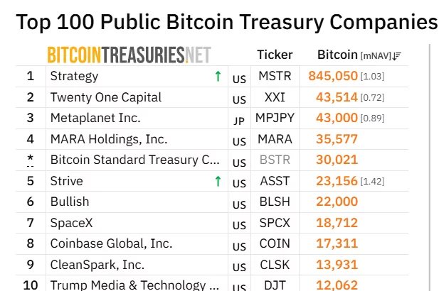 BitcoinTreasuries.net ranking shows Strive as the fifth-largest public Bitcoin treasury company with 23,156 BTC, ahead of Bullish and SpaceX.
