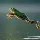 AI Stock JFrog Jumps 159%, Eyes Entry As Earnings Accelerate