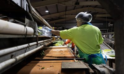 Regional WA need migrants to survive
