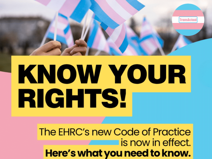TransActual fights EHRC code