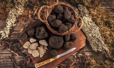 Opinion: The ingredient always comes first