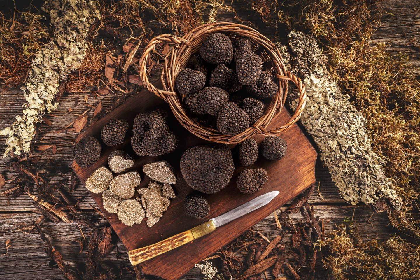 Opinion: The ingredient always comes first