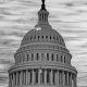The False Fear of Noncitizen Voting