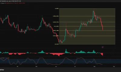 Uniswap daily chart shows UNI falling to $3.23 and testing the 38.2% Fibonacci support near $3.19.