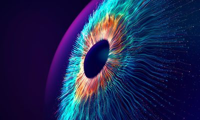 Why Silicon Valley’s Vision of the AI Future Should Worry You