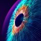 Why Silicon Valley’s Vision of the AI Future Should Worry You