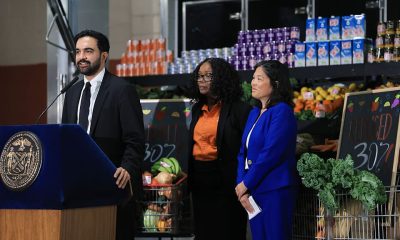 The Economics of Public Grocery Stores
