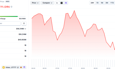 牛来 (Niu Lai) meme coin Price Performance. Source: CoinGecko