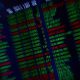 Shares lift as RBA holds fire, oil holds onto gains