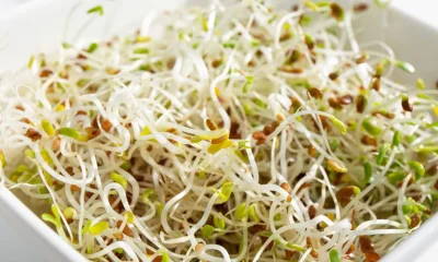 E. coli and salmonella outbreak tied to alfalfa sprouts sickens 55