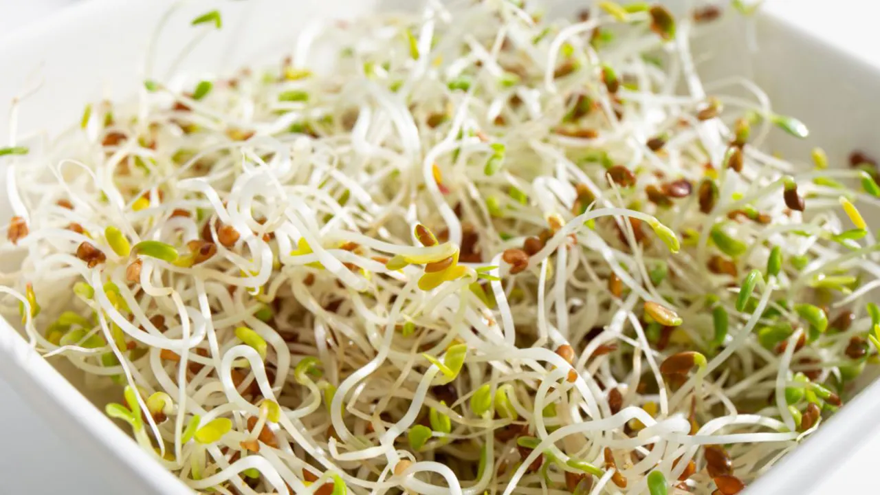 E. coli and salmonella outbreak tied to alfalfa sprouts sickens 55