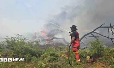 A firefighter standing in a field wearing protective clothing and holding a fire hose. They are facing away from the camera and a wildfire burns in the background. A tree is lying on its side and in flames and there are large plumes of smoke in the air.