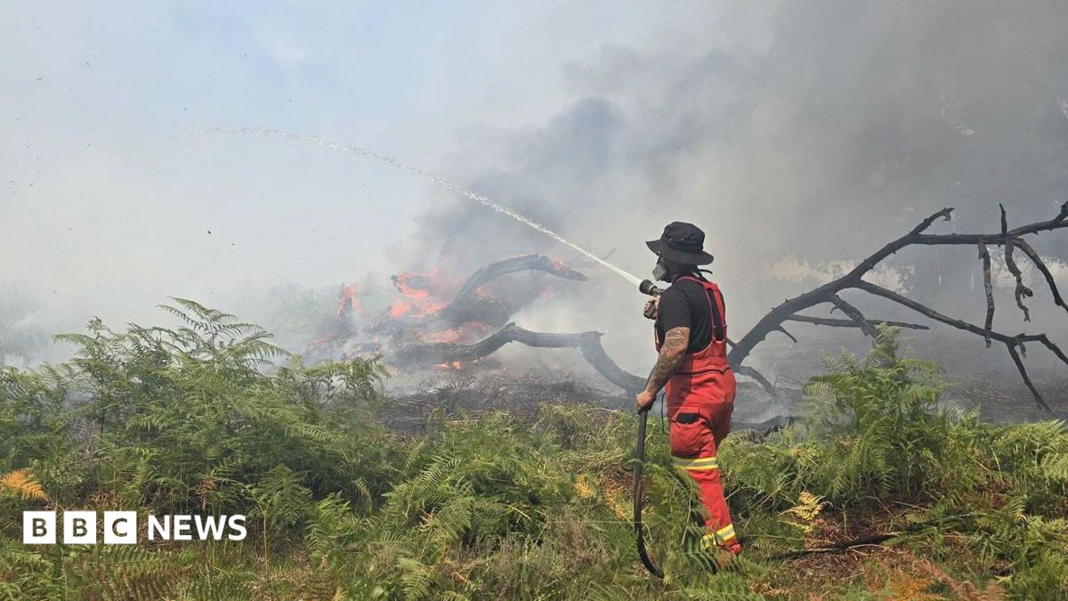 A firefighter standing in a field wearing protective clothing and holding a fire hose. They are facing away from the camera and a wildfire burns in the background. A tree is lying on its side and in flames and there are large plumes of smoke in the air.