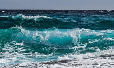 A $2 million bet on XRP volatility crosses the tape as prices surge
