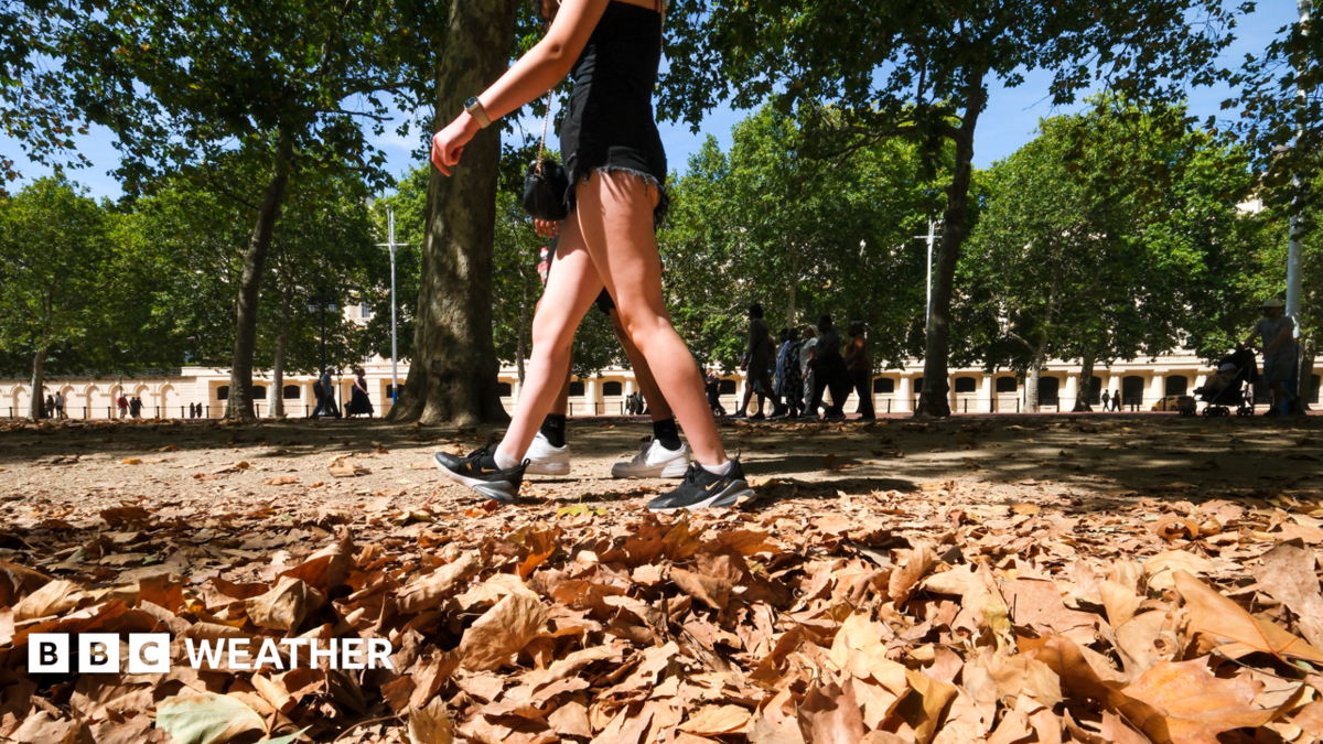 A woman in shorts and trainers walks through fallen leaves amid a UK heatwave