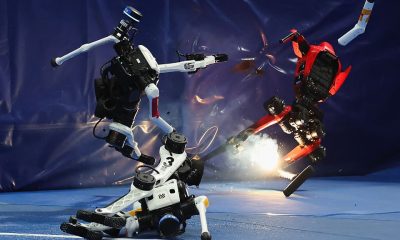 Why We Love Watching Robots Fail
