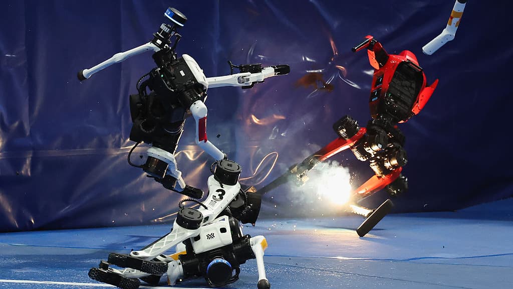 Why We Love Watching Robots Fail