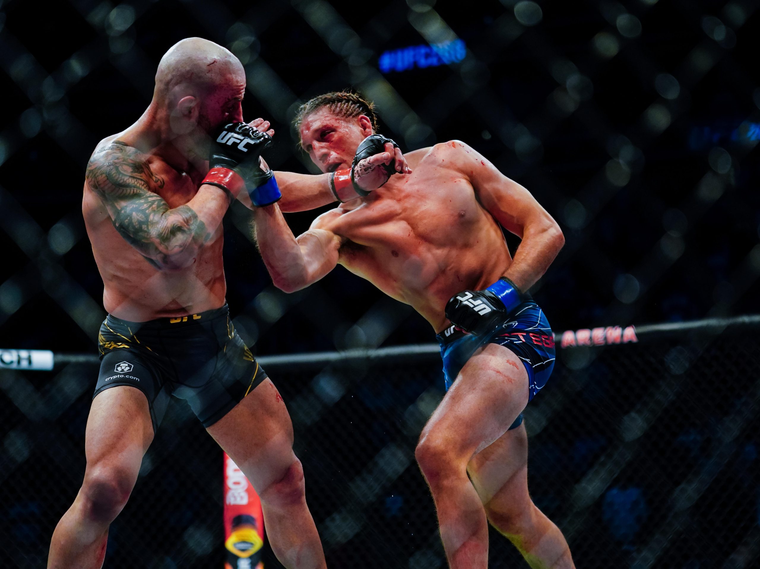 Brian Ortega, Alexander Volkanovski