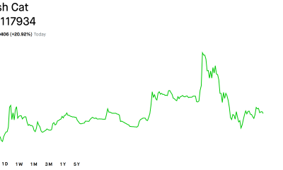 CASHCAT Price Performance