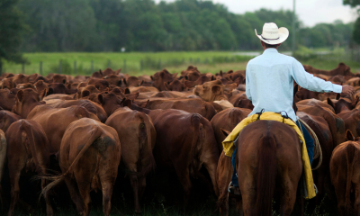 Trump authorizes action to break meatpacking monopoly for ranchers