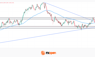 GBP/NZD: Political Noise Meets a Hawkish Kiwi at a Critical Apex