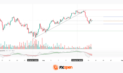 Japan 225 Analysis: Index Declines Amid Rising BoJ Rate Expectations