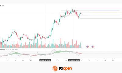 Gold Analysis: Profit-Taking After the Rally