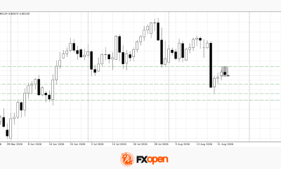Dollar Recovery Loses Momentum: USD/CAD and USD/CHF Resume Their Declines