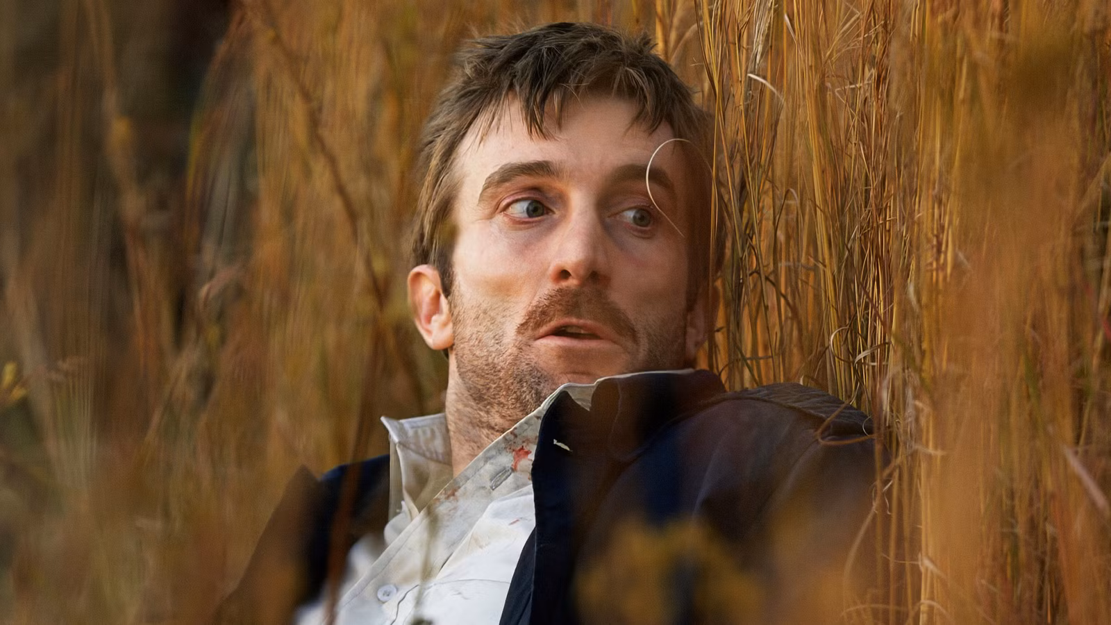 A man hiding in a field of wheat in District-9