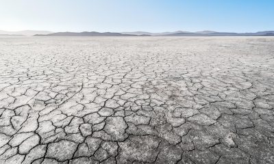 Our Approach to Drought and Wildfire Is Economically Backwards
