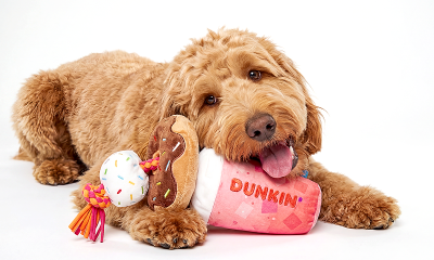 Dunkin' launches first-ever dog drive-thru to celebrate National Dog Day