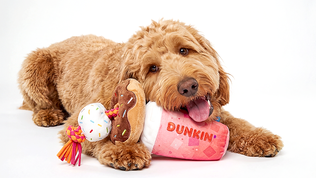 Dunkin' launches first-ever dog drive-thru to celebrate National Dog Day