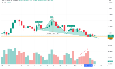 XRP Head-and-Shoulders Daily Chart