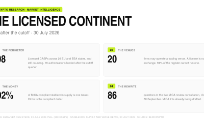 MiCA License Perimeter Overview