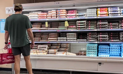 Egg recall over salmonella risk upgraded to Class I with dozens of cases