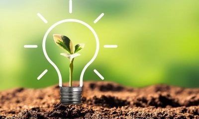 Sustainability in baking in focus as business priorities shift