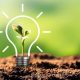Sustainability in baking in focus as business priorities shift