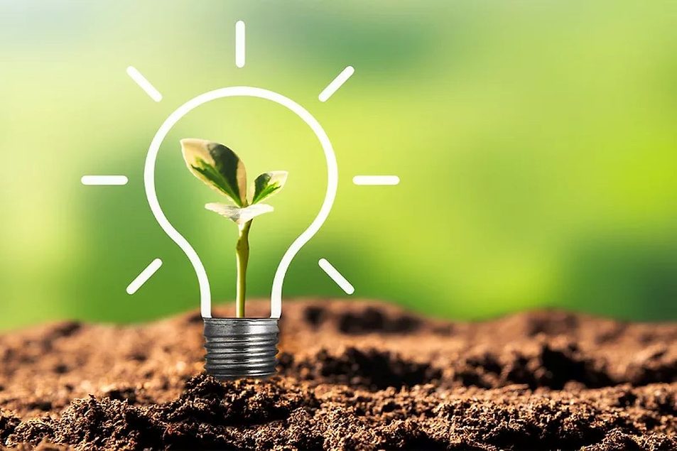 Sustainability in baking in focus as business priorities shift
